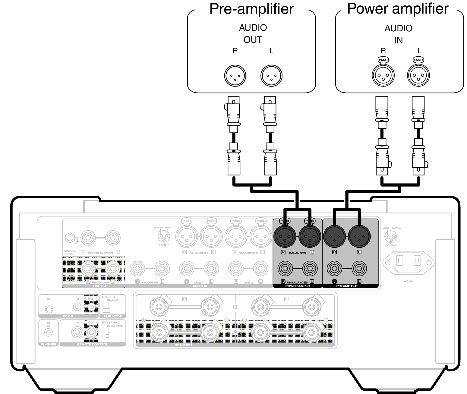 Conne amp XLR MODEL10